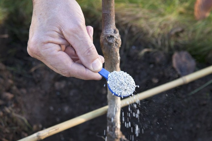 Adding granular fertiliser