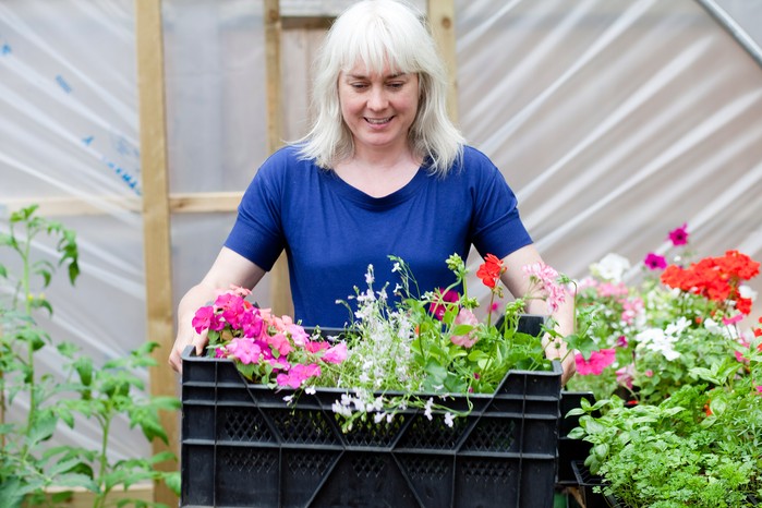 Polytunnel