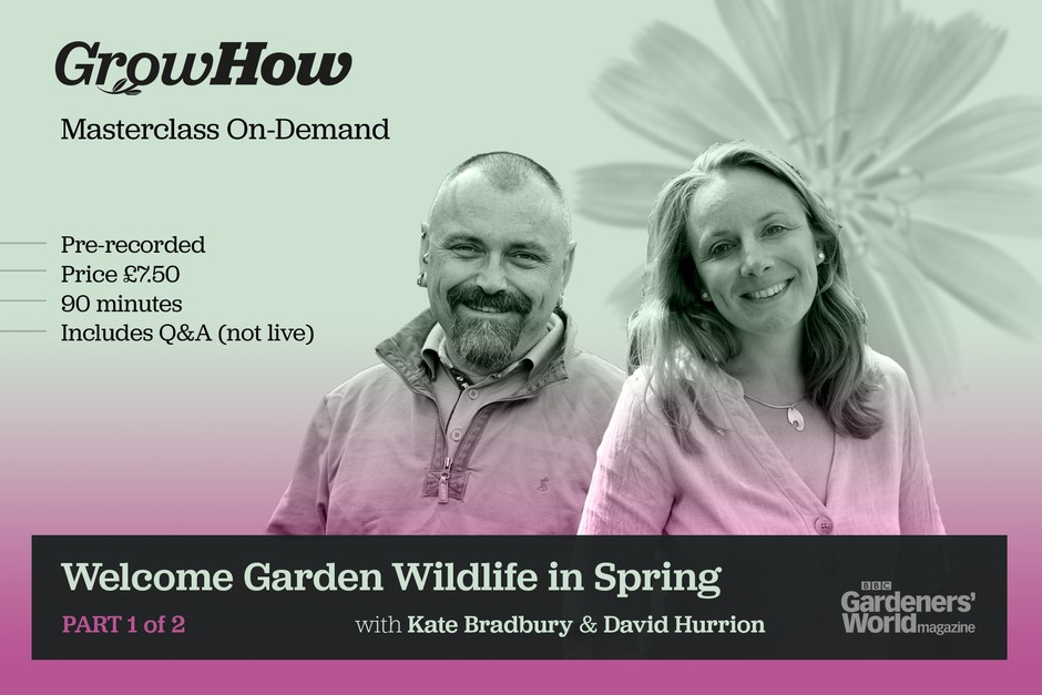 Wildlife Masterclass On-Demand