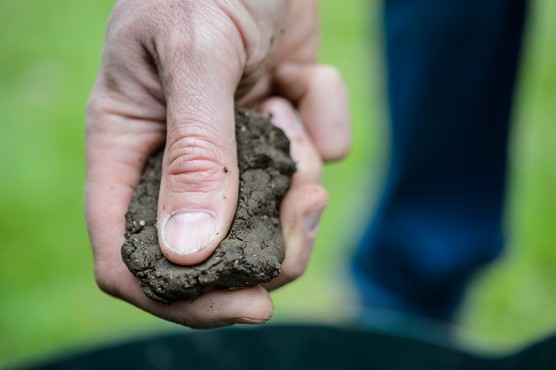 Clay soil between finger and thumb. Jason Ingram