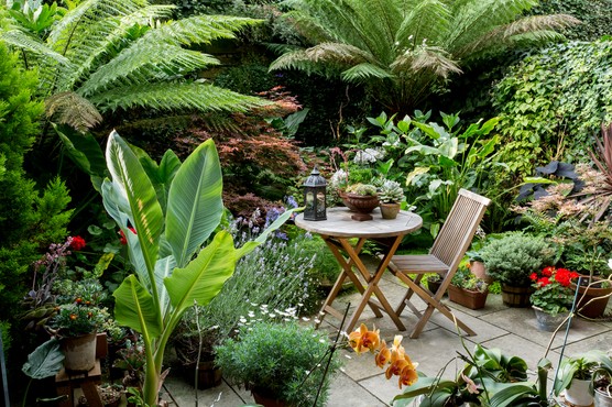 Small patio garden