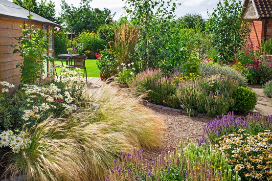 Grasses softening a flower bed edge. Neil Hepworth