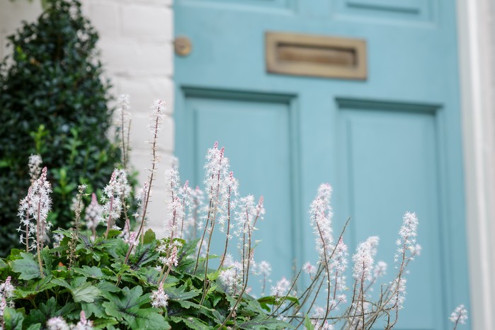 Tiarella with pale turquoise front door. Jason Ingram