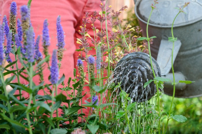 Watering container-grown plants