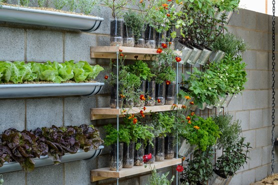 Vertical planting using gutters and recycled bottles