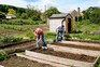 Preparing allotment beds