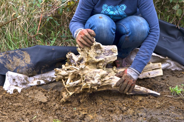 How to make a wildlife pond -adding a log to the pond edge