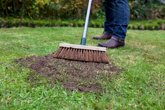 Brushing top dressing into the lawn