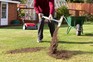 Top dressing a lawn