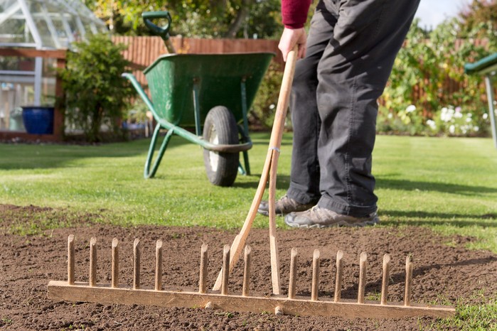 Raking the top dressing level