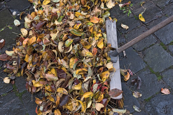 Bushing leaves off a patio. Getty Images