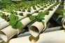 Salad leaves growing hydroponically. Getty Images