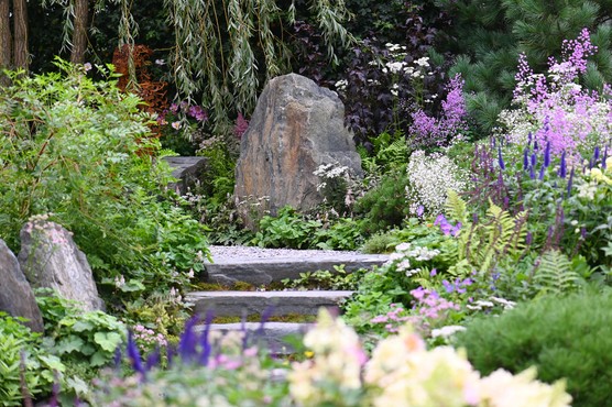 Rock garden. Getty Images