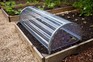 Polythene cloche over a raised bed