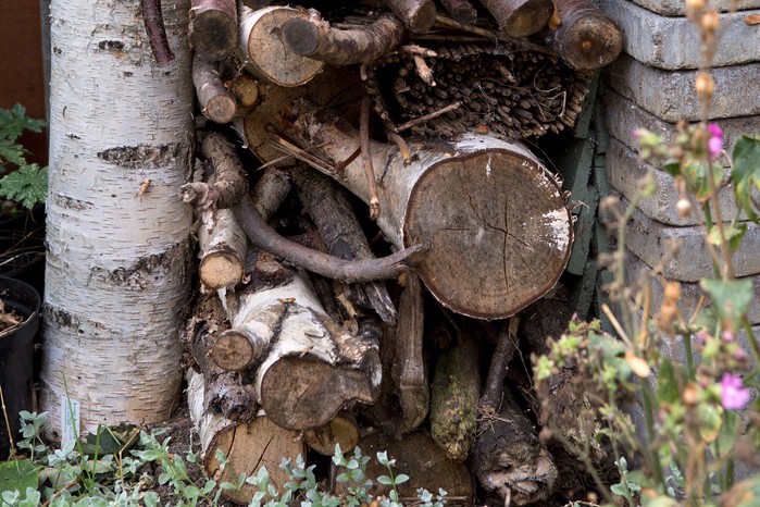 Make a log pile