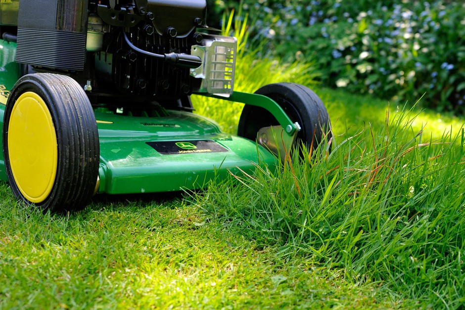 Top lawn care tips