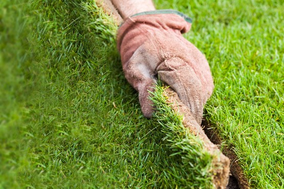 How to lay turf