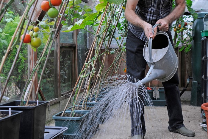 Damping down the greenhouse