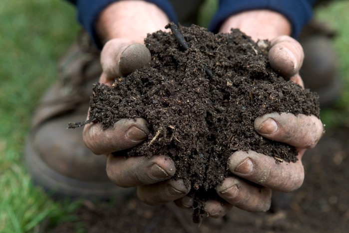 Mulching with well-rotted manure or compost