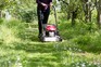 Mowing the lawn less often gives flowering plants a chance to thrive. Sarah Cuttle