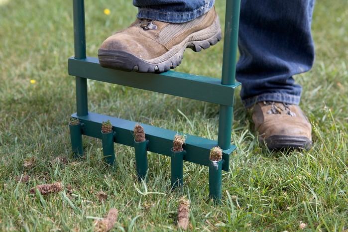 Aerating the lawn