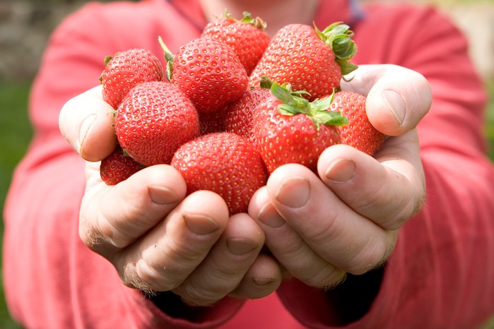 Strawberries