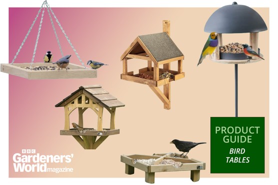 Best bird tables BBC Gardeners' World Product Guide