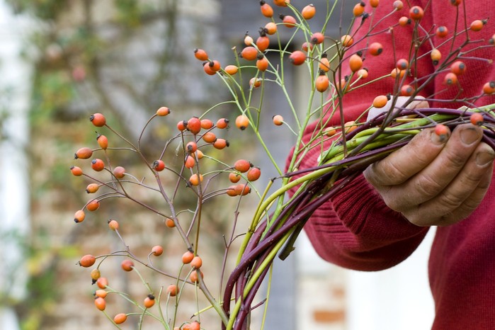 Wildlife-friendly Christmas wreath