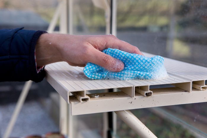 Cleaning the greenhouse