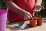 Sowing large seeds