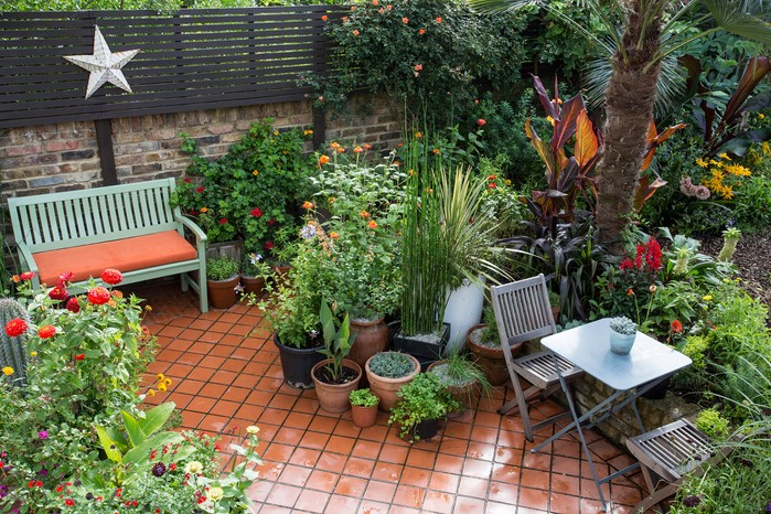 Garden patio with container planting