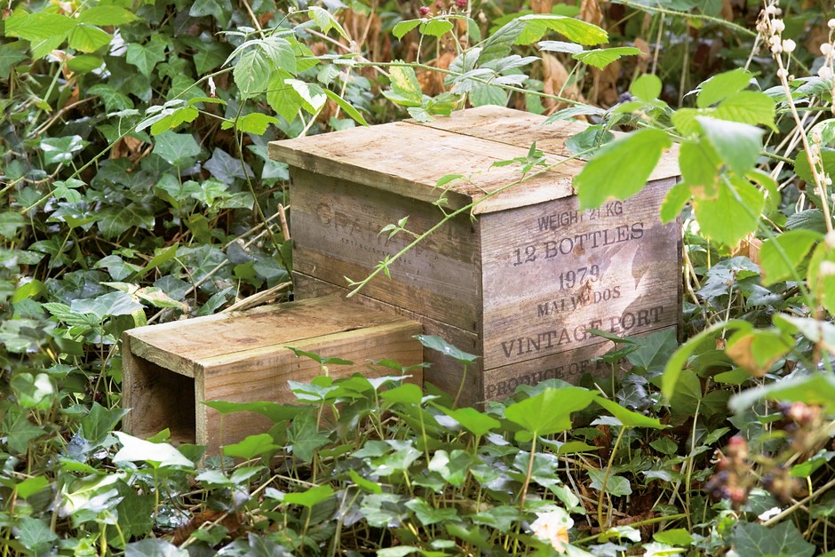 How to make a hedgehog house