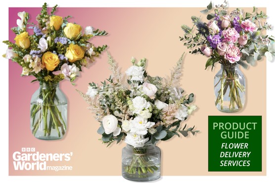 Flower delivery services Product Guide BBC Gardeners' World Magazine