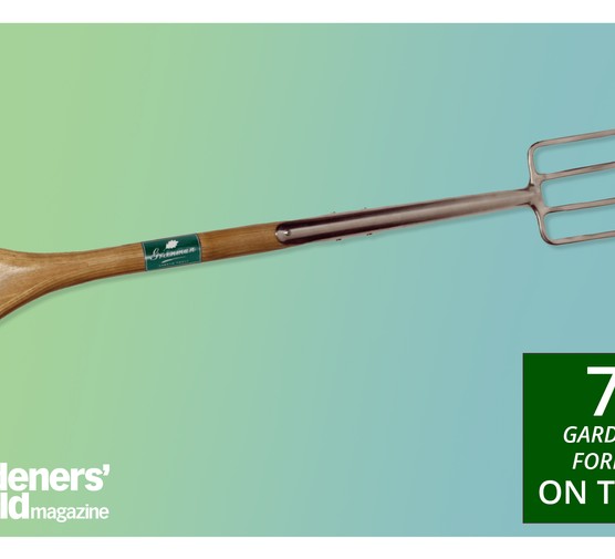 Garden forks - Tested and reviewed by the experts at BBC Gardeners' World Magazine