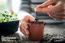 FutureLearn and BBC Gardeners' World Magazine Online Course: Gardening for Beginners course course created by BBC Gardeners' World Magazine