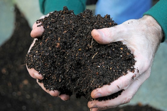 Hands holding compost. Tim Sandall