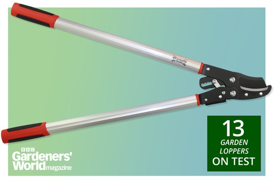 BBC Gardeners' World Magazine garden loppers review