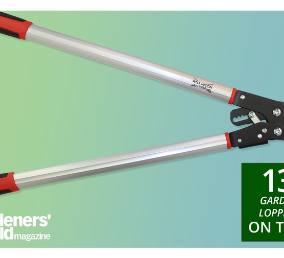 BBC Gardeners' World Magazine garden loppers review