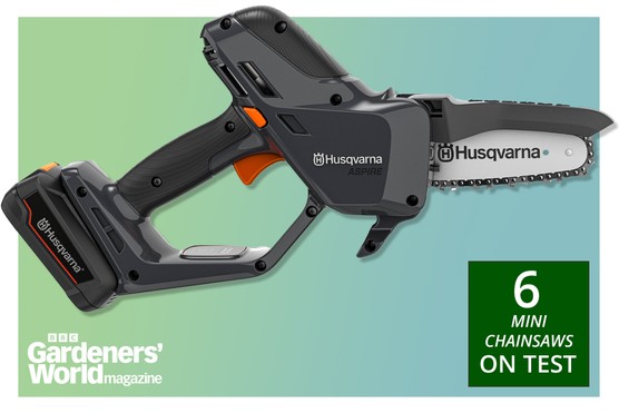 BBC Gardeners' World Magazine best mini chainsaws review