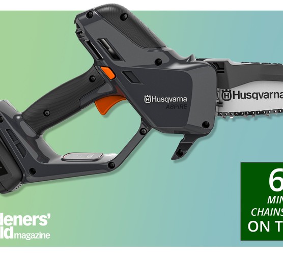 BBC Gardeners' World Magazine best mini chainsaws review