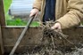 Monty Don looking through his compost heap