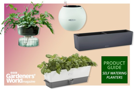 Self watering planters BBC Gardeners' World Product GuideBBC Gardeners' World Product Guide