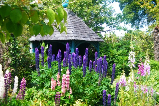 Strokestown Park Walled Gardens