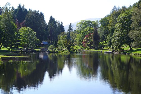 The Japanese Garden at Cowden