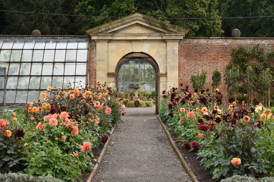 Tyntesfield, National Trust Images, Anna Kilcooley