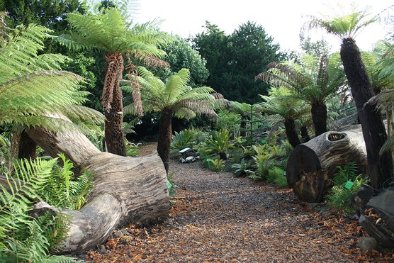 University of Bristol Botanic Gardens