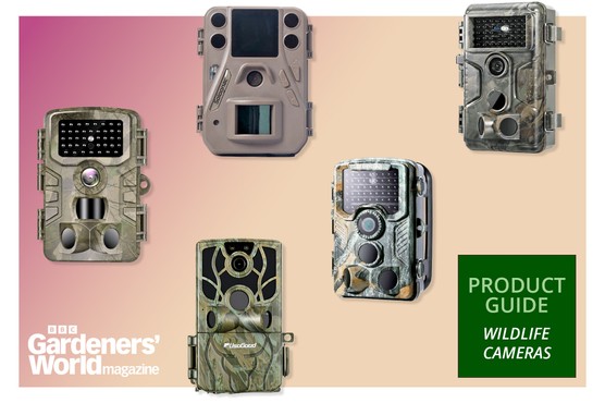 Wildlife cameras product guide BBC Gardeners' World Magazine