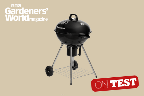 George Foreman Kettle Charcoal Barbecue - BBC Gardeners' World