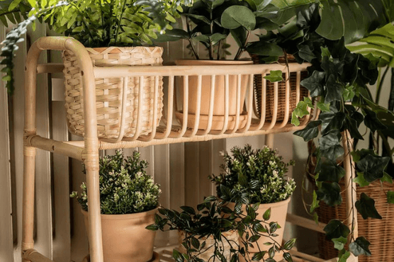 Buskbo rattan plant stand